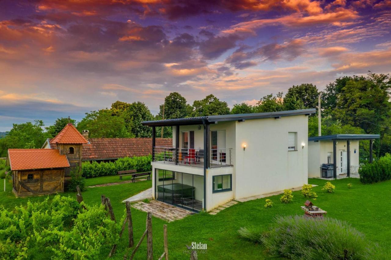 Villa Kuce Za Odmor -Japin Breg à Ðurđevac Extérieur photo